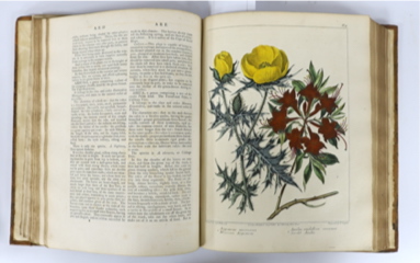 Dickson, Richard Watson (‘’McDonald, Alexander’’) - A Complete Dictionary of Practical Gardening: comprehending all the Modern Improvements in Art, 2 vols, 4to, calf, with 60 hand-coloured engraved plates, by F. Sansom,